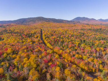 White Mountain Ulusal Ormanı, New Hampshire NH, ABD 'deki Sugar Hill Sahne Vista yakınlarındaki Kancamagus Otoyolu' na yapraklar dökülüyor..