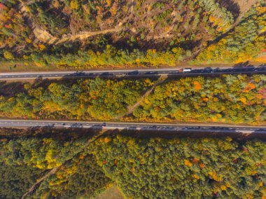 Otoyol 93, 22. çıkış, NH Route 127, White Mountain Ulusal Ormanı 'nda sonbahar yeşillikleri ile üstten, New Hampshire NH, ABD.