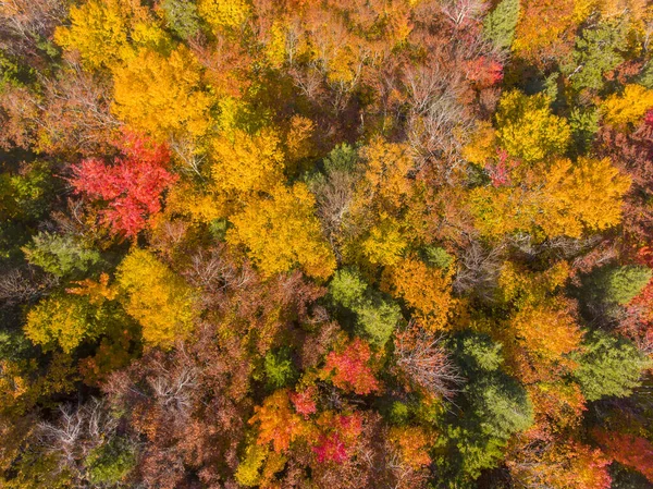 White Mountain National Forest Fall Foliage Kancamagus Highway Aerial View — Stock Photo, Image