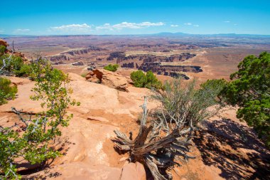 Canyon ve White Rim 'in Canyonlands Ulusal Parkı' ndaki Grand View Point 'ten havadan görünüşü, Moab, Utah, ABD.