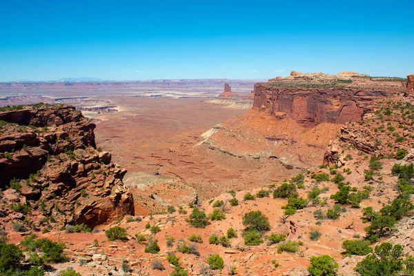 Luftaufnahme Der Schlucht Vom Candlestick Tower Overlook Canyonlands National Park — Stockfoto