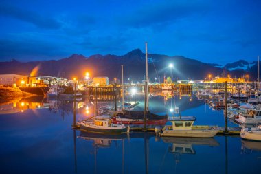 Seward Boat Limanı ve gece limanı, Seward, Kenai Yarımadası, Alaska, AK, ABD.