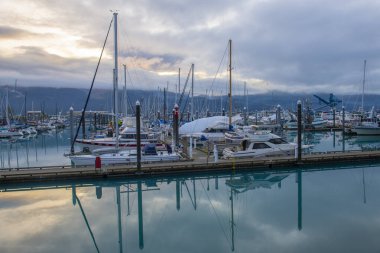 Seward Boat Limanı ve sonbaharda liman, Seward, Kenai Yarımadası, Alaska, AK, ABD. Seward, Kenai Fjords Ulusal Parkı yakınlarında bir şehirdir..