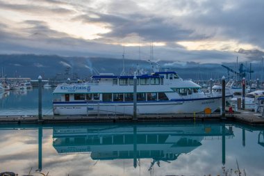 Kenai Fjords Tours gemisi Nunatak Seward, Kenai Yarımadası, Alaska, AK, ABD 'deki Seward Boat Harbor' da. Seward, Kenai Fjords Ulusal Parkı yakınlarında bir şehirdir..
