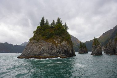 Kenai Fjords Ulusal Parkı yakınlarındaki Diriliş Koyu 'nda Spiral Koyu, Seward, Alaska AK, ABD.