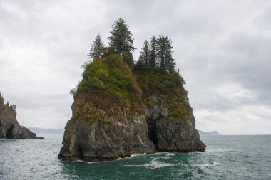 Kenai Fjords Ulusal Parkı yakınlarındaki Diriliş Koyu 'nda Spiral Koyu, Seward, Alaska AK, ABD.