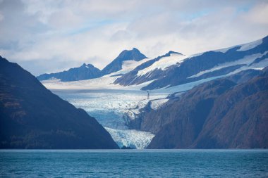 Eylül 2019 'da Kenai Fjords Ulusal Parkı' ndaki Aialik Körfezi 'ndeki Holgate Buzulu Seward, Alaska AK, ABD.