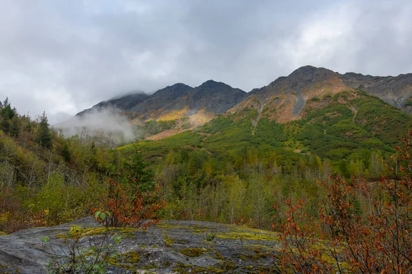 Eylül 2019 Seward Alaska Abd Kenai Fjords Ulusal Parkı Ndaki — Stok fotoğraf