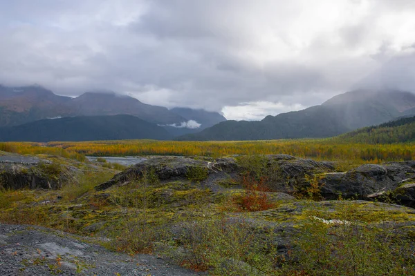 Outwash Plain Exit Creek Exit Glacier Kenai Fjords National Park — стокове фото