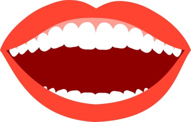 Gerçekçi bayanın ağız