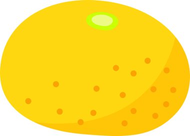 Japon sarı mandalina