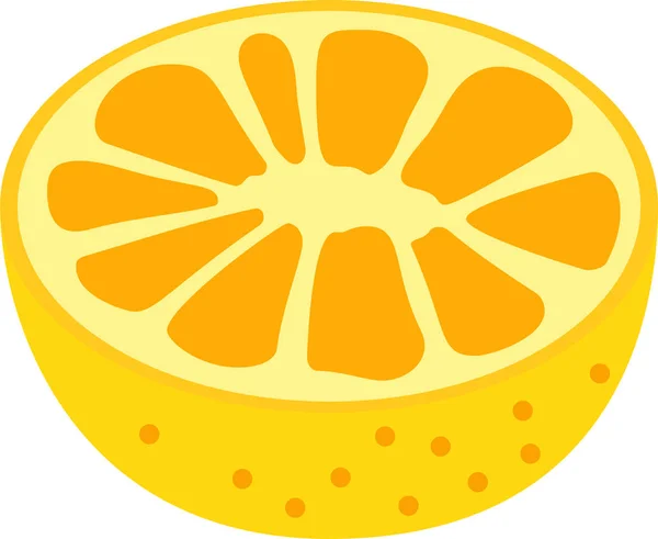 Japonská žlutá mandarinka — Stockový vektor