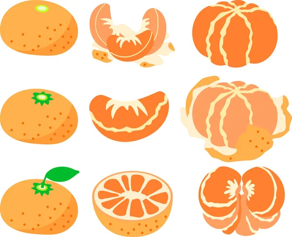 Japonská mandarinka oranžová sada — Stockový vektor