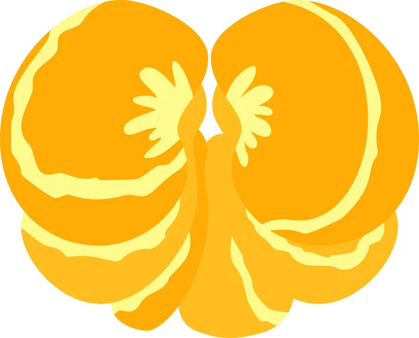 Japoński żółty Mandarynkowa pomarańcza — Wektor stockowy