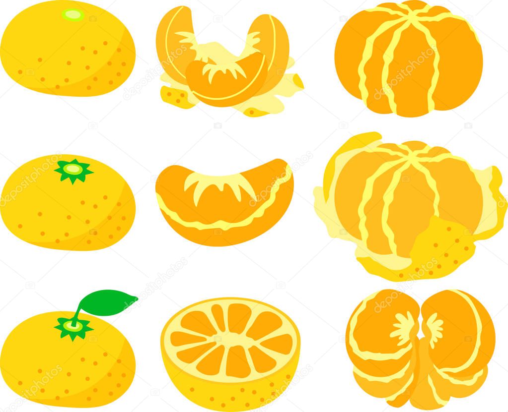 Japanese yellow Mandarin orange set