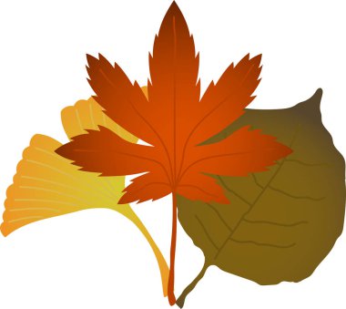 Şık sonbahar yaprakları bir grup