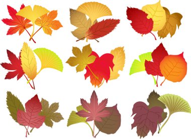 Sonbahar yaprakları kümesinin bir grup