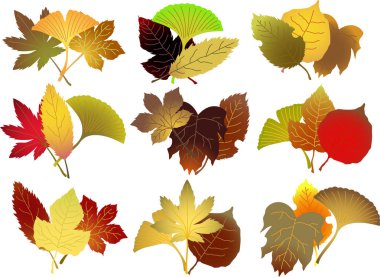 Zarif sonbahar bir grup kümesi bırakır