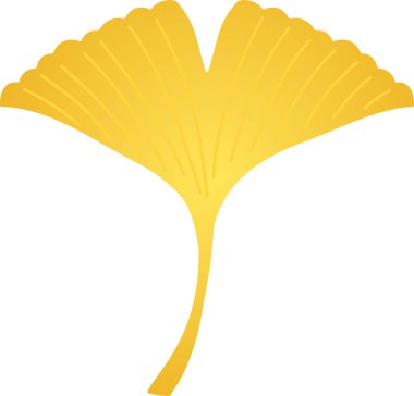 Gerçekçi sonbahar yaprakları