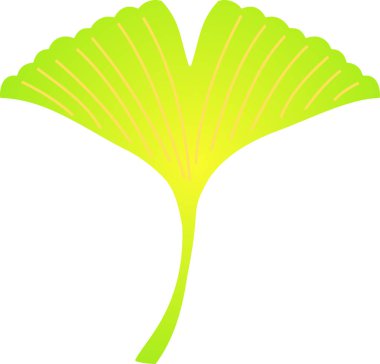 Gerçekçi şık sonbahar yaprakları