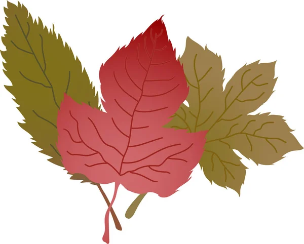 Μια ομάδα από το φθινόπωρο τα φύλλα — Διανυσματικό Αρχείο