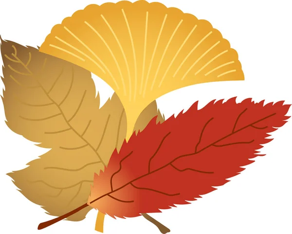 Eine Gruppe Herbstblätter — Stockvektor