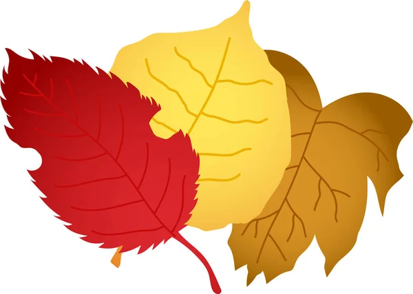 Un grupo de hojas de otoño — Archivo Imágenes Vectoriales