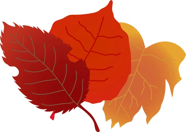 Skupina elegantní podzimní listí — Stockový vektor