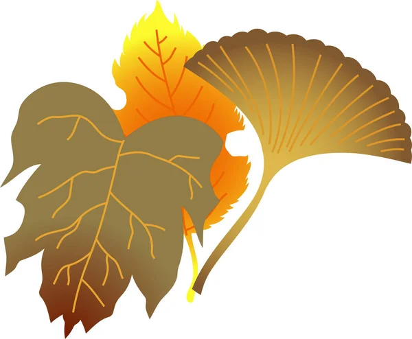 Eine Gruppe eleganter Herbstblätter — Stockvektor