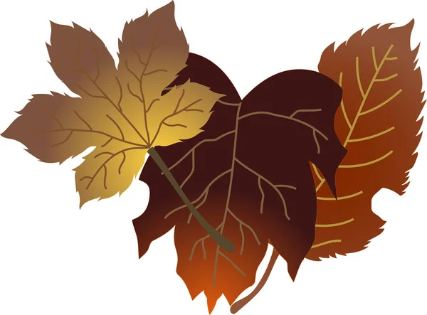 Un grupo de elegantes hojas de otoño — Archivo Imágenes Vectoriales
