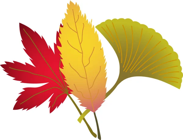 Grupa elegancki jesiennych liści — Wektor stockowy