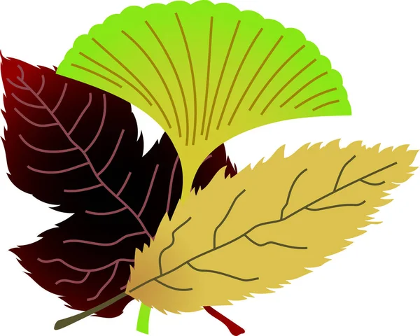 Een groep elegante Herfstbladeren — Stockvector