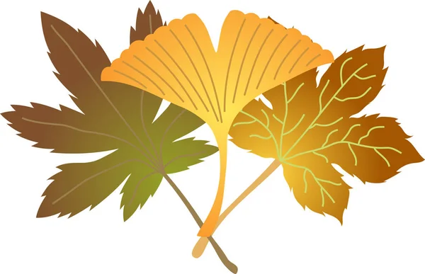 Группа элегантных осенних листьев — стоковый вектор