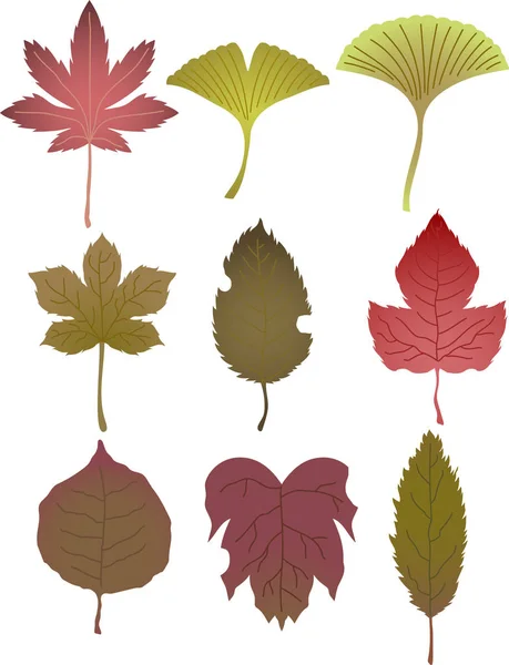 Réaliste chic automne feuilles ensemble — Image vectorielle