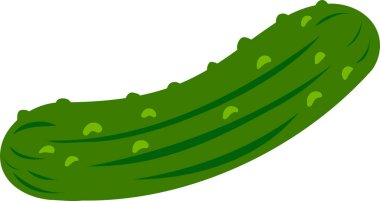 taze salatalık illüstrasyon