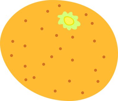 Taze turuncu illüstrasyon