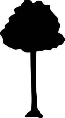 ağaç siluet 