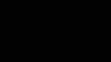 Bu Eğri Kılıç Dilimi setinin bir videosu.