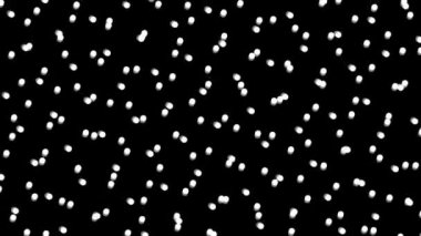Bu siyah arkaplan üzerinde hareket eden basit bir polka nokta çizgisinin videosu. 