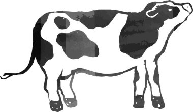 Bu, El 'in gerçekçi süt ineği çiziminin bir çizimi.