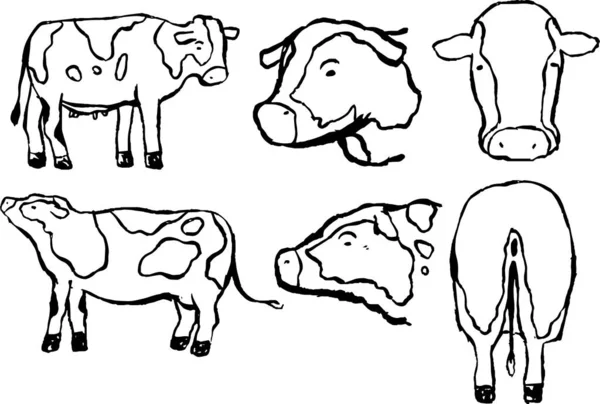 Esta Uma Ilustração Ilustração Vaca Leiteira Realista Desenhada Mão — Vetor de Stock