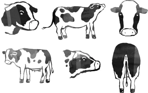 Illustration Hand Drawn Realistic Dairy Cow Illustration — Stock Vector