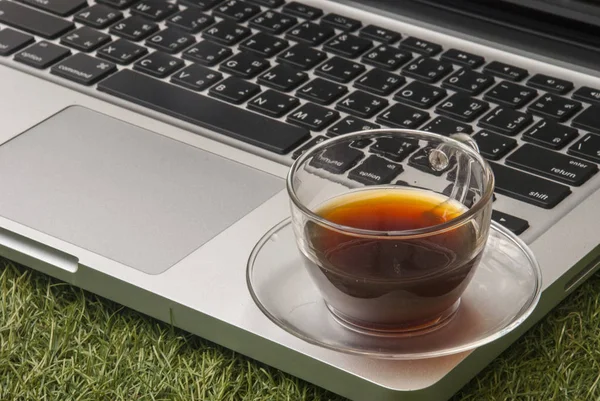 Portátil y una taza de té en el césped —  Fotos de Stock