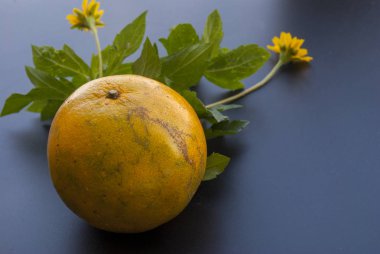 portakal ve çiçekler