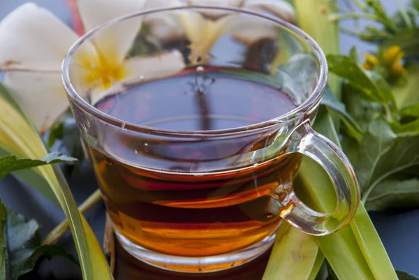 1 pohár tea elhelyezett különböző virágok — Stock Fotó