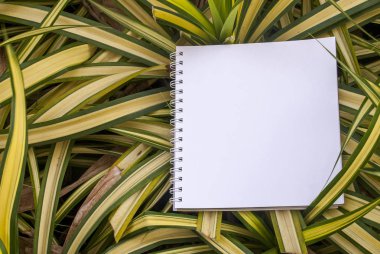 Beyaz kağıt ve doğal oluşturulan düzenleri kavramları