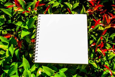 Beyaz kağıt ve doğal oluşturulan düzenleri kavramları