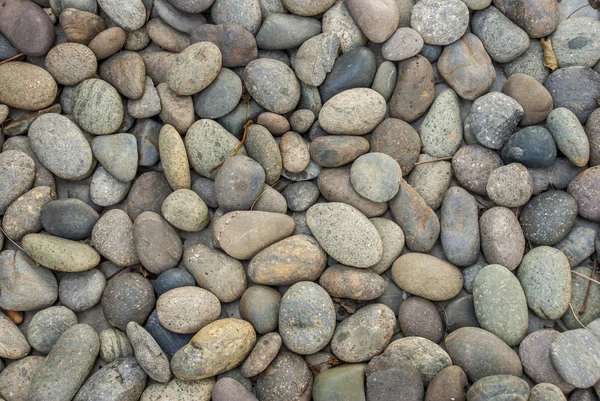 Renkli doğal taş arkaplan dokusu — Stok fotoğraf
