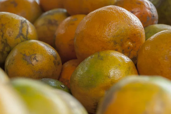 Laranja de tangerina do mercado — Fotografia de Stock