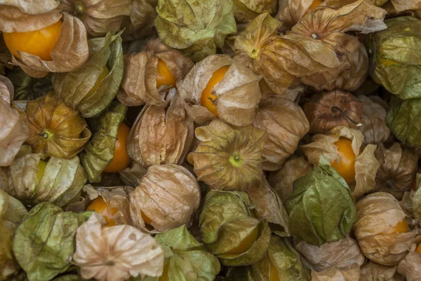 Cape gooseberry sold in the market